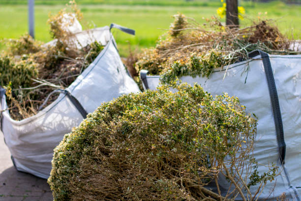 Best Basement Cleanout Services  in Greenock, PA